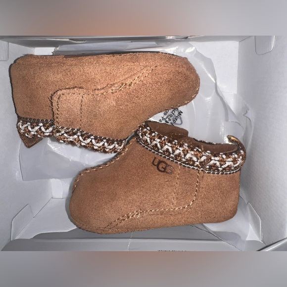 BABY TASMAN (Chestnut ) - Picture 3 of 5